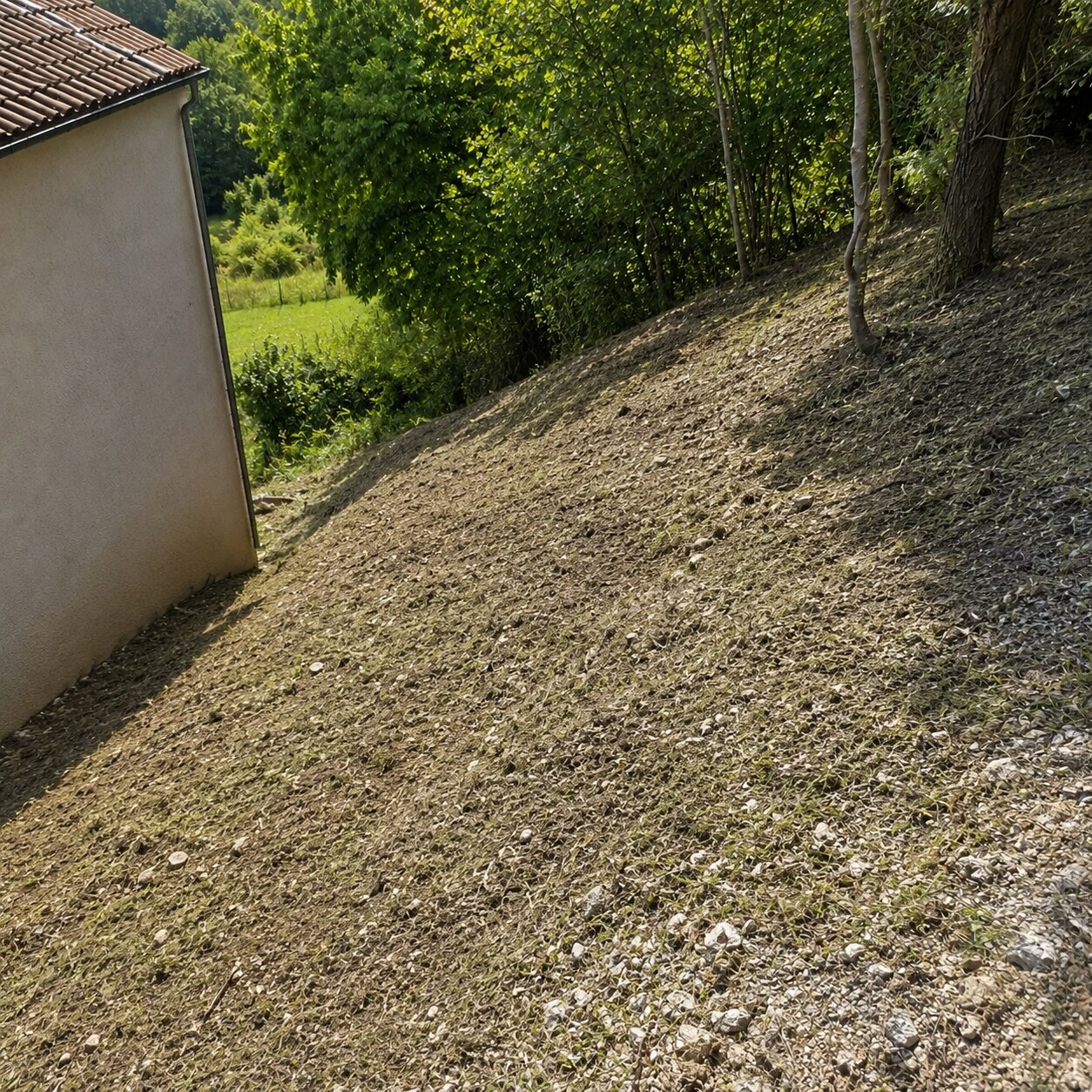 Talus en pente remis en état et propre après débroussaillage complet