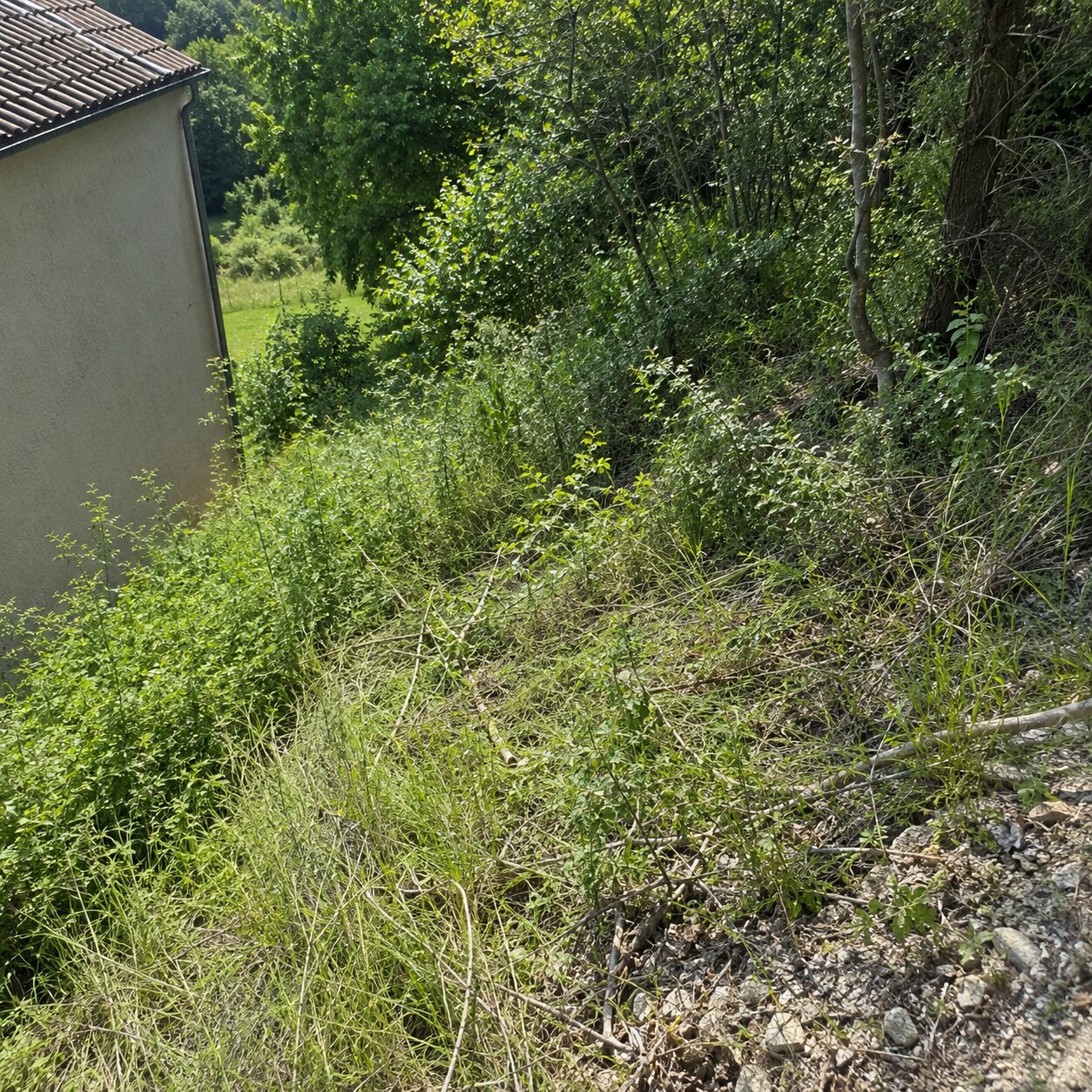 Talus en pente avec végétation à enlever, en début de chantier